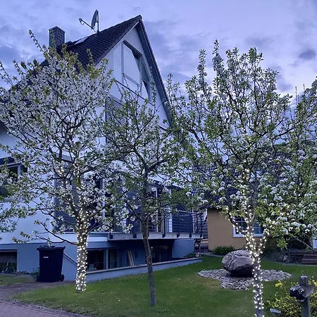 Hotel am Müritz-Nationalpark-3